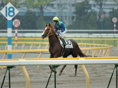 2006/04/23 東京08R