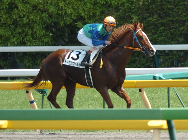 2006/05/21 東京07R