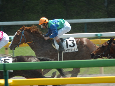 2006/05/21 東京07R