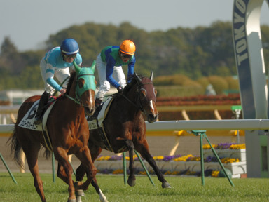 2009/02/21 東京08R