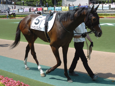 2009/05/02 東京07R