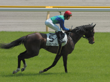 2009/05/02 東京07R