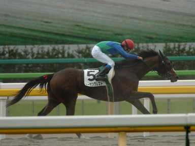 2009/05/16 東京07R