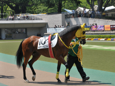 2013/05/05 東京07R