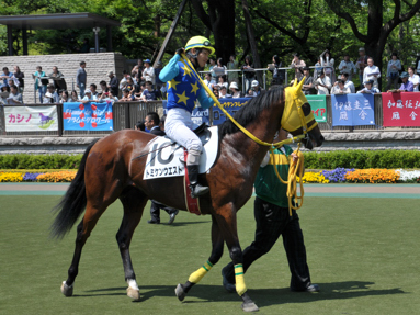 2013/05/05 東京07R