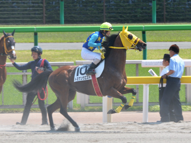 2013/05/05 東京07R