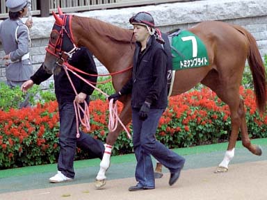 2003/10/25 東京11R