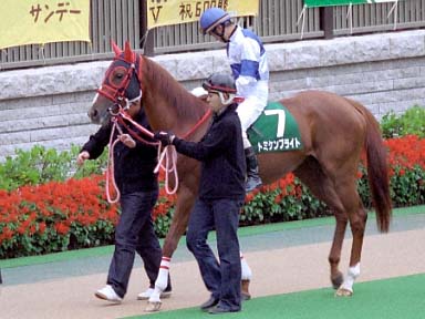 2003/10/25 東京11R