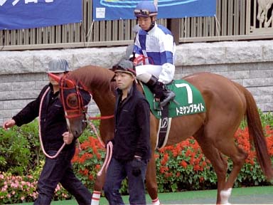 2003/10/25 東京11R