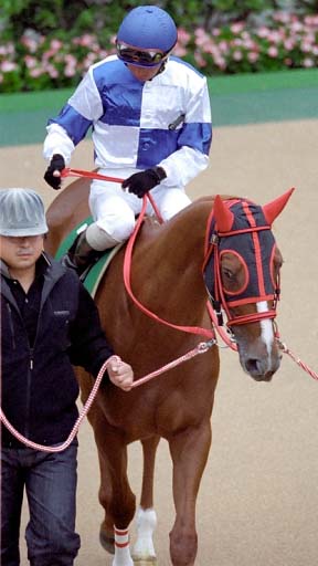 2003/10/25 東京11R