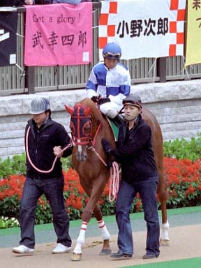 2003/10/25 東京11R