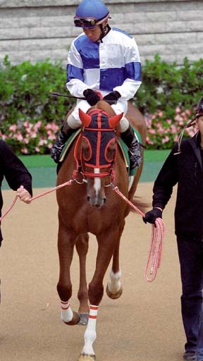 2003/10/25 東京11R