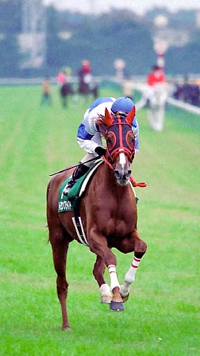 2003/10/25 東京11R