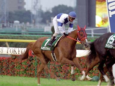 2003/10/25 東京11R