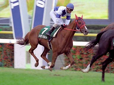2003/10/25 東京11R