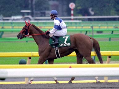 2003/10/25 東京11R