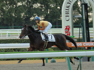 2006/12/03 中京08R