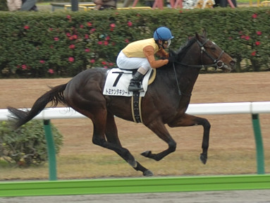 2006/12/03 中京08R