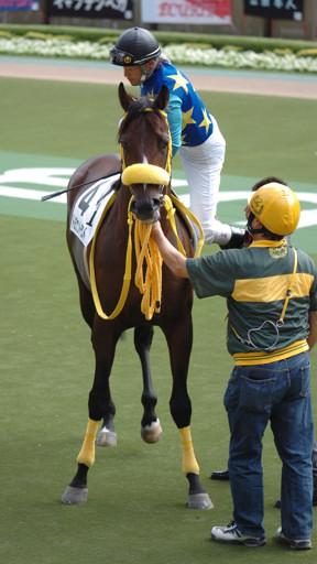 2008/10/12 東京06R