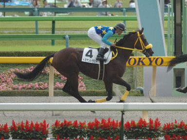2008/10/12 東京06R