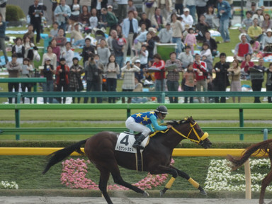 2008/10/12 東京06R