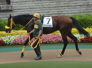 2009/05/24 東京07R