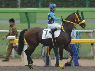 2009/05/24 東京07R