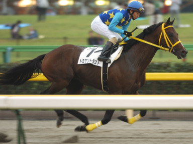 2010/10/17 東京12R