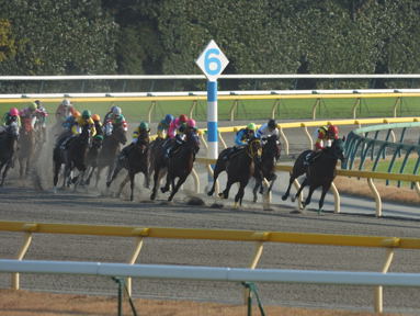 2010/11/28 東京08R