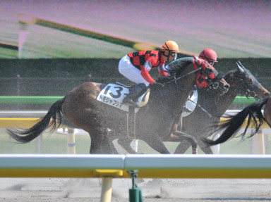 2018/04/22 東京08R