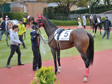 2018/10/27 新潟06R