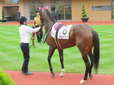 2019/10/27 新潟07R