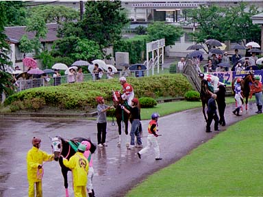 2003/06/04 船橋11R