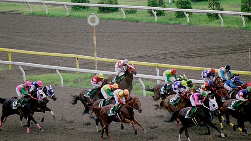 2003/06/04 船橋11R