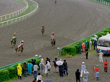 2003/06/04 船橋11R
