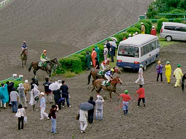 2003/06/04 船橋11R