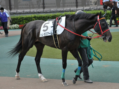 2016/06/26 東京12R