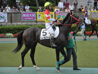 2016/06/26 東京12R