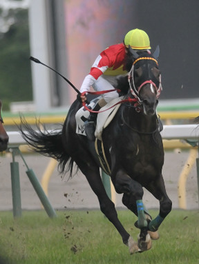 2016/06/26 東京12R