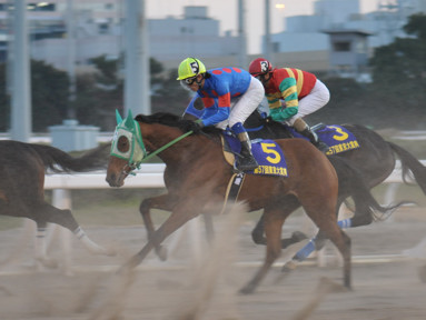 2011/12/29 大井10R