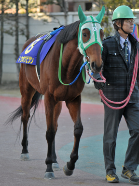 2013/01/30 川崎11R