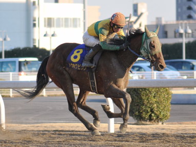 2013/01/30 川崎11R