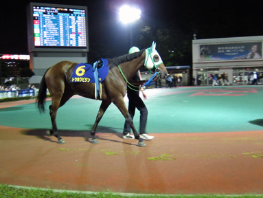 2013/10/02 大井10R