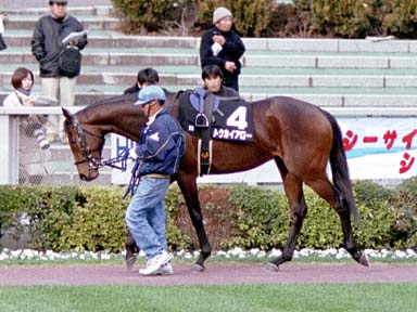 2002/01/19 東京09R