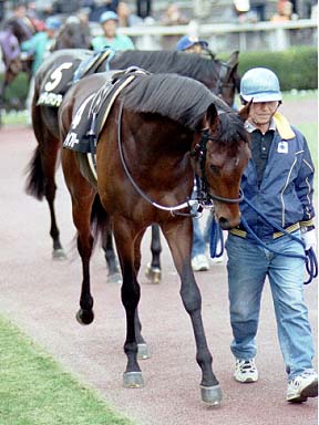 2002/01/19 東京09R