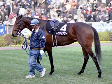 2002/01/19 東京09R