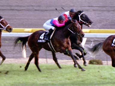 2002/01/19 東京09R