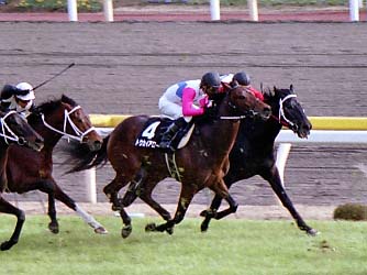 2002/01/19 東京09R