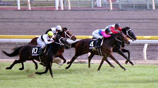 2002/01/19 東京09R