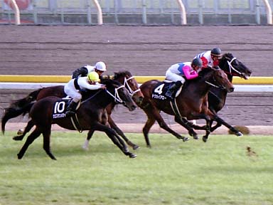 2002/01/19 東京09R